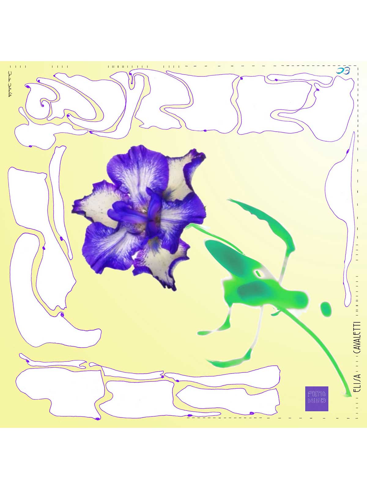 Foulard
